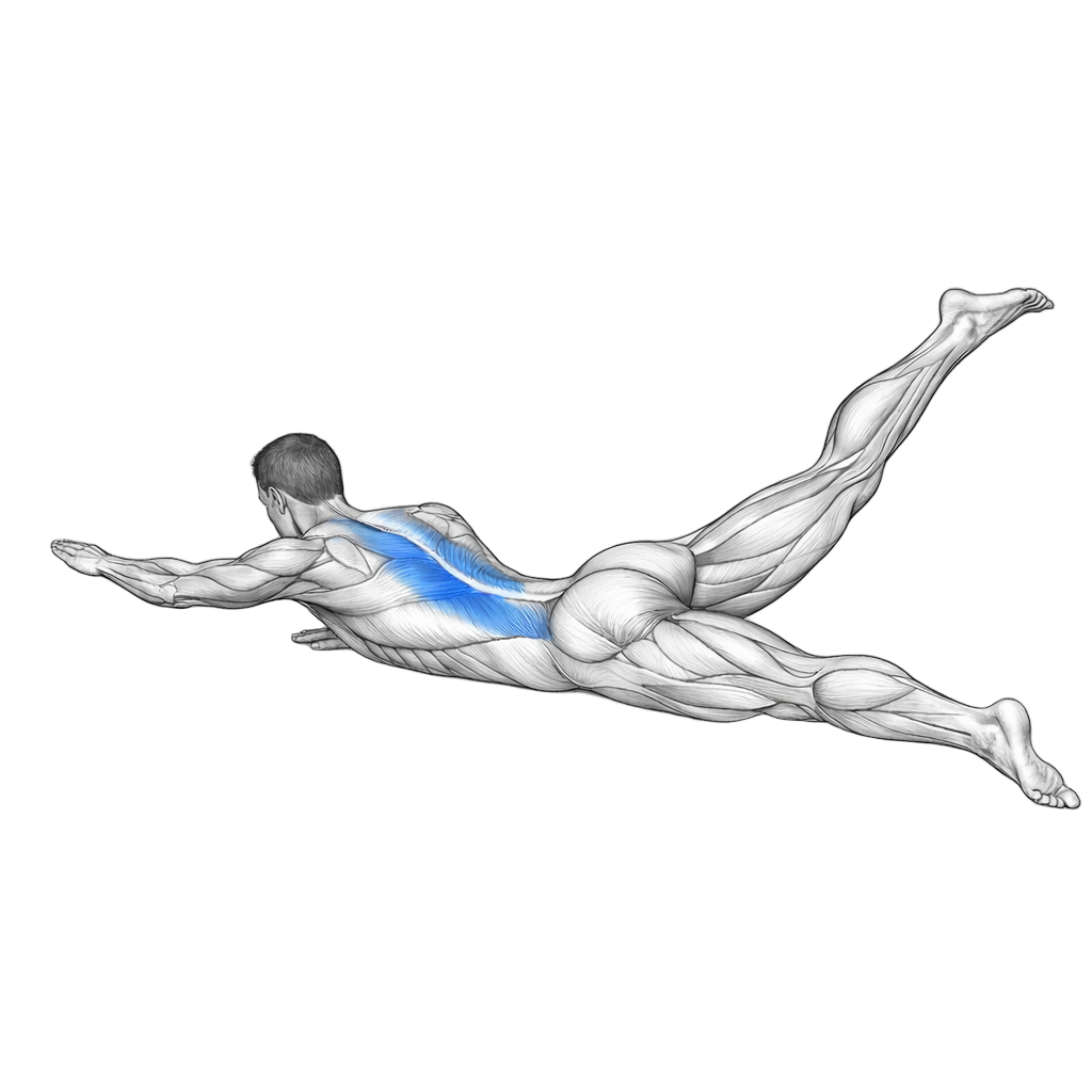 Alternating Superman exercise demonstration