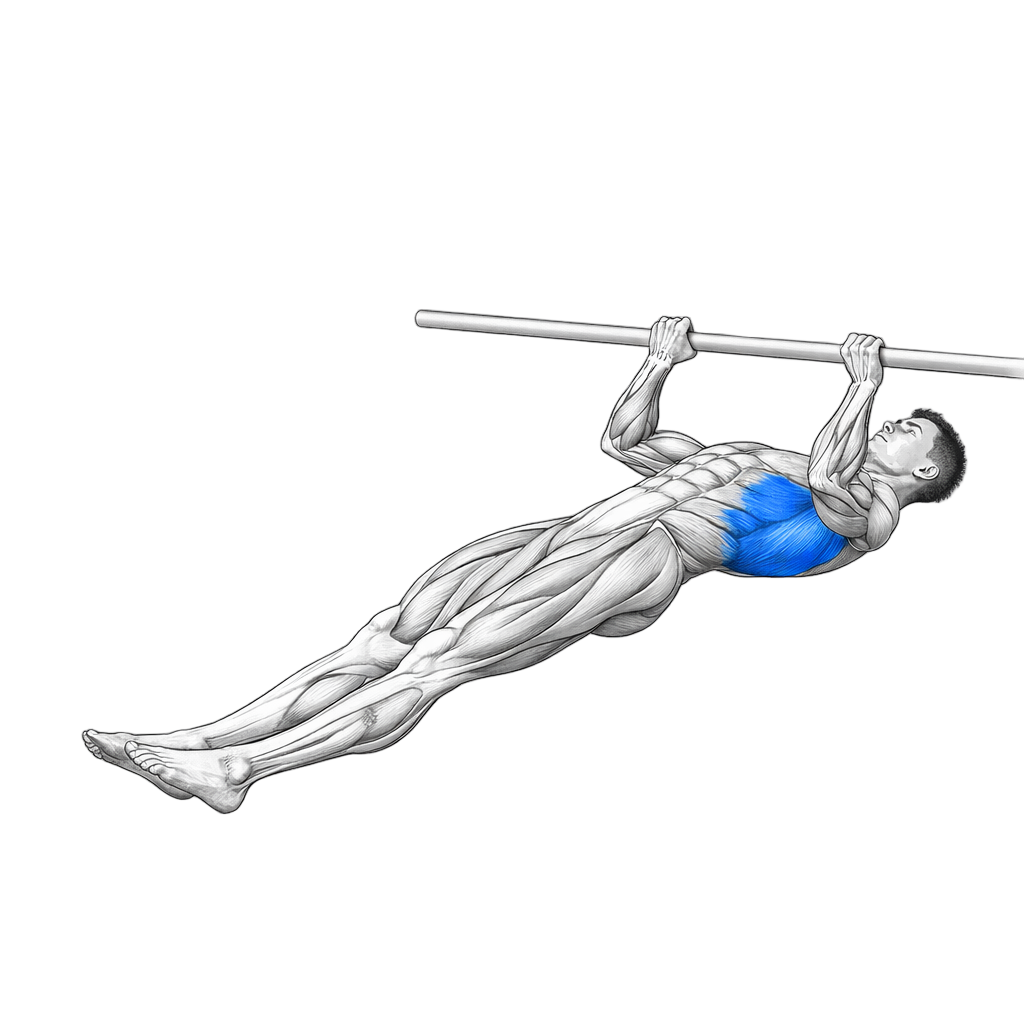 Inverted Row (Underhand)