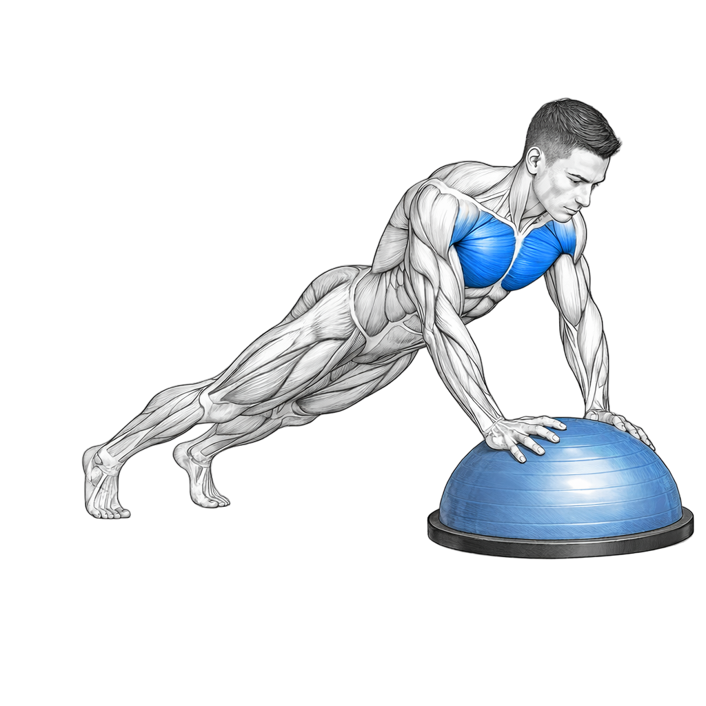 Balance Trainer Dome Push Ups