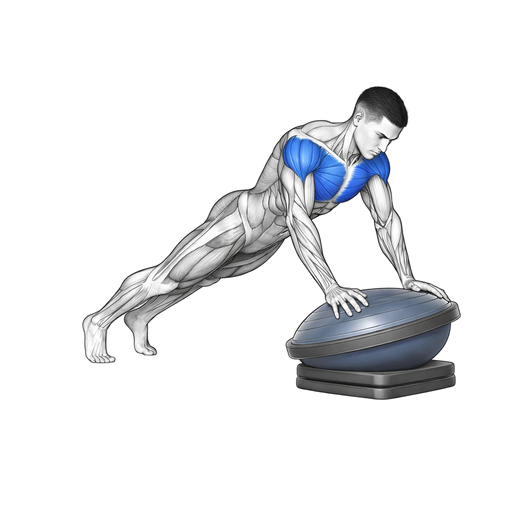 Balance Trainer Incline Push Up