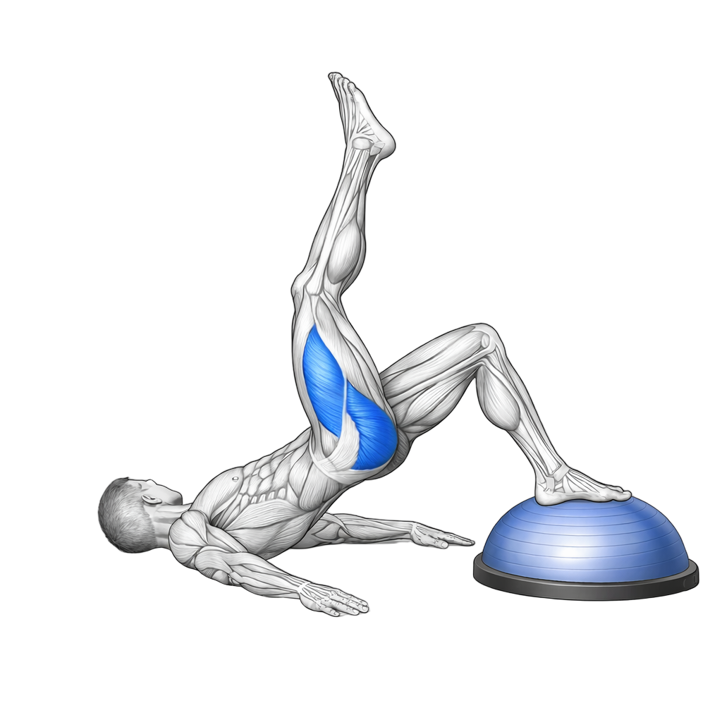 Balance Trainer Lying Toe Taps