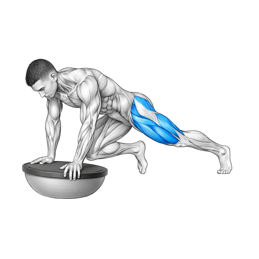 Balance Trainer Mountain Climber