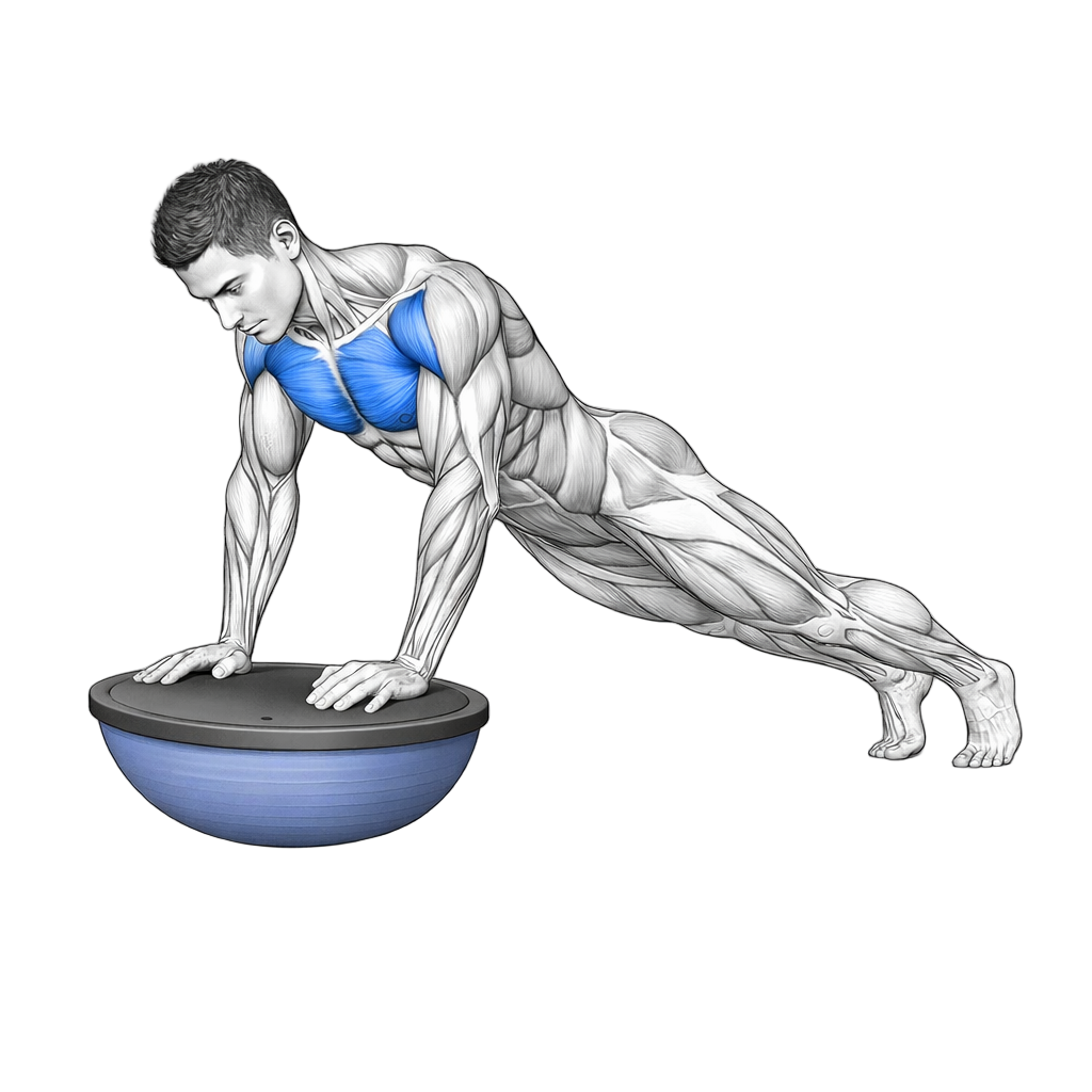 Balance Trainer Narrow Push Up