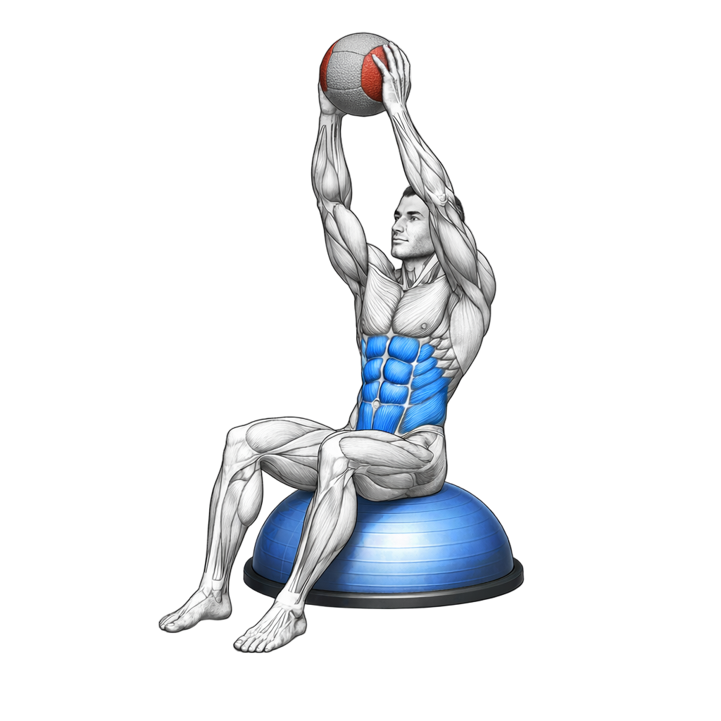 Balance Trainer Overhead Weighted Crunch