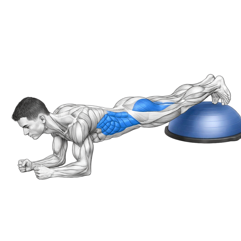 Balance Trainer Plank