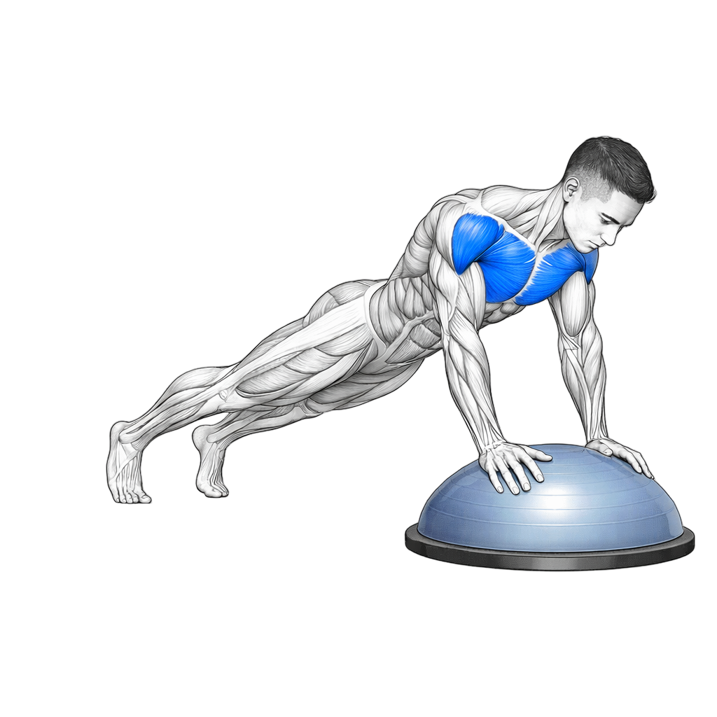 Balance Trainer Push Up exercise demonstration
