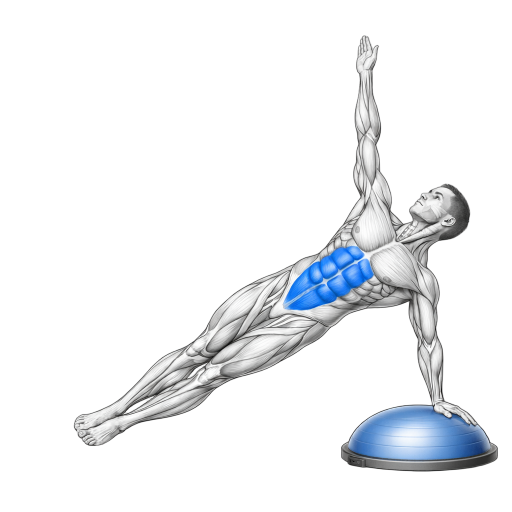 Balance Trainer Side Star Plank