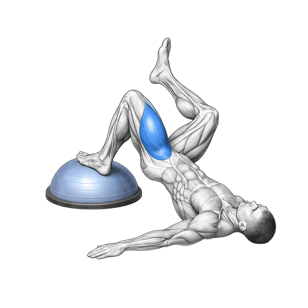 Balance Trainer Single Leg Hip Thrusters