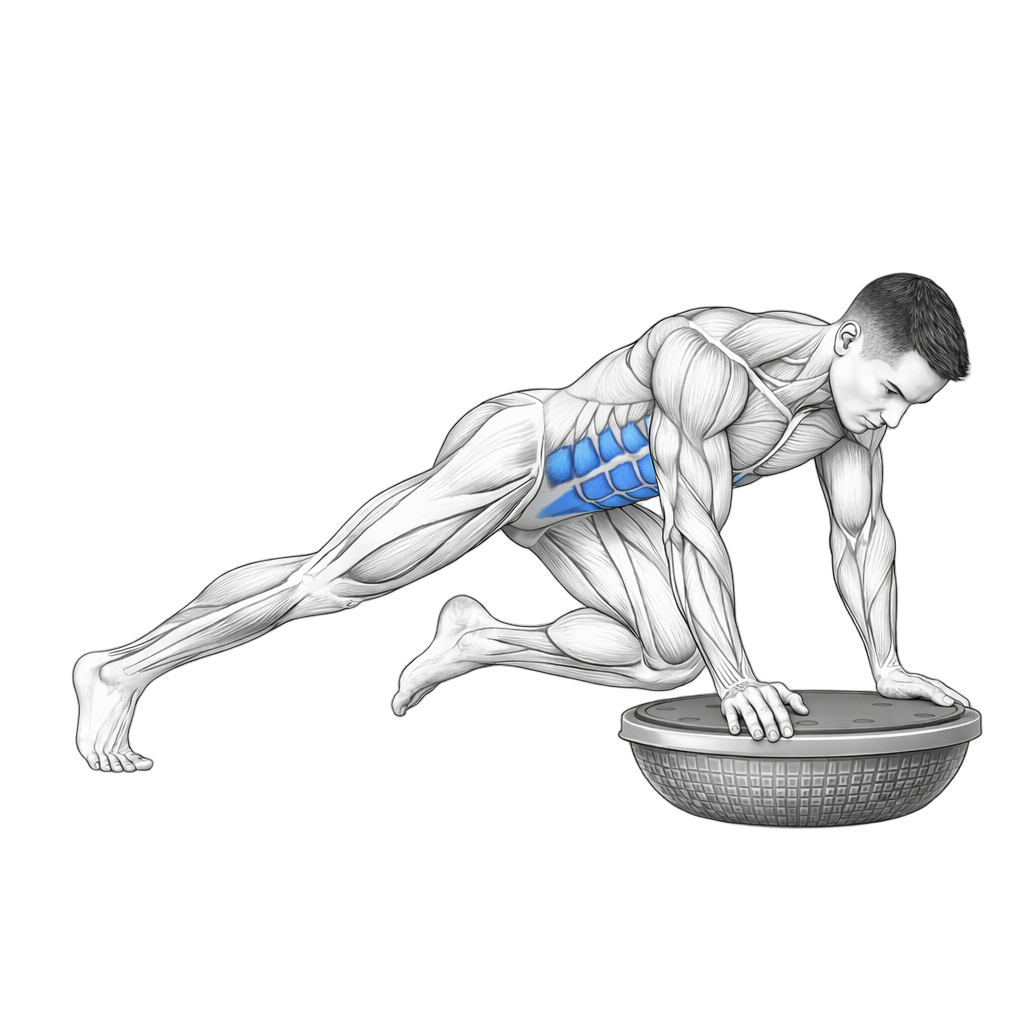 Balance Trainer Speed Climbers
