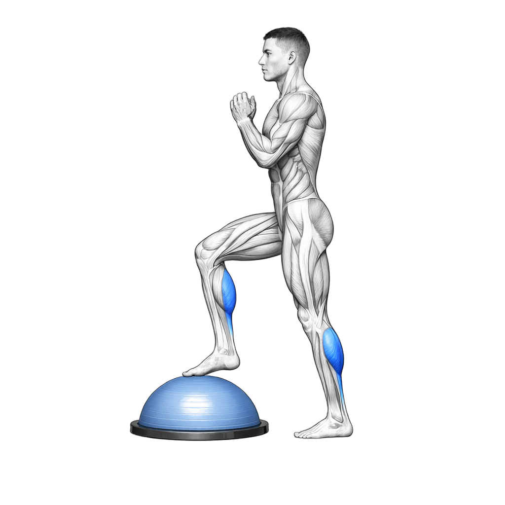 Balance Trainer Toe Taps
