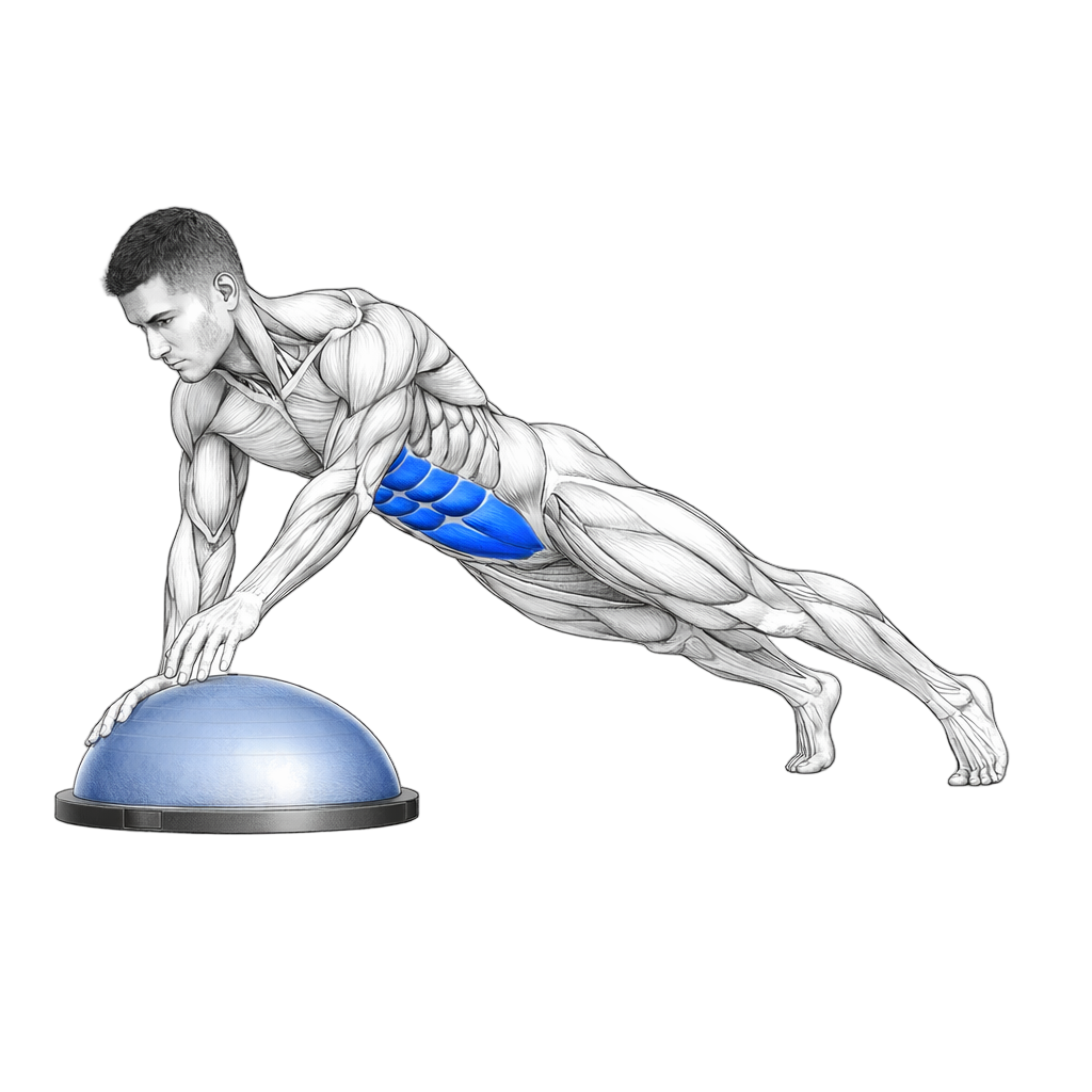 Balance Trainer Traveling Dome Planks