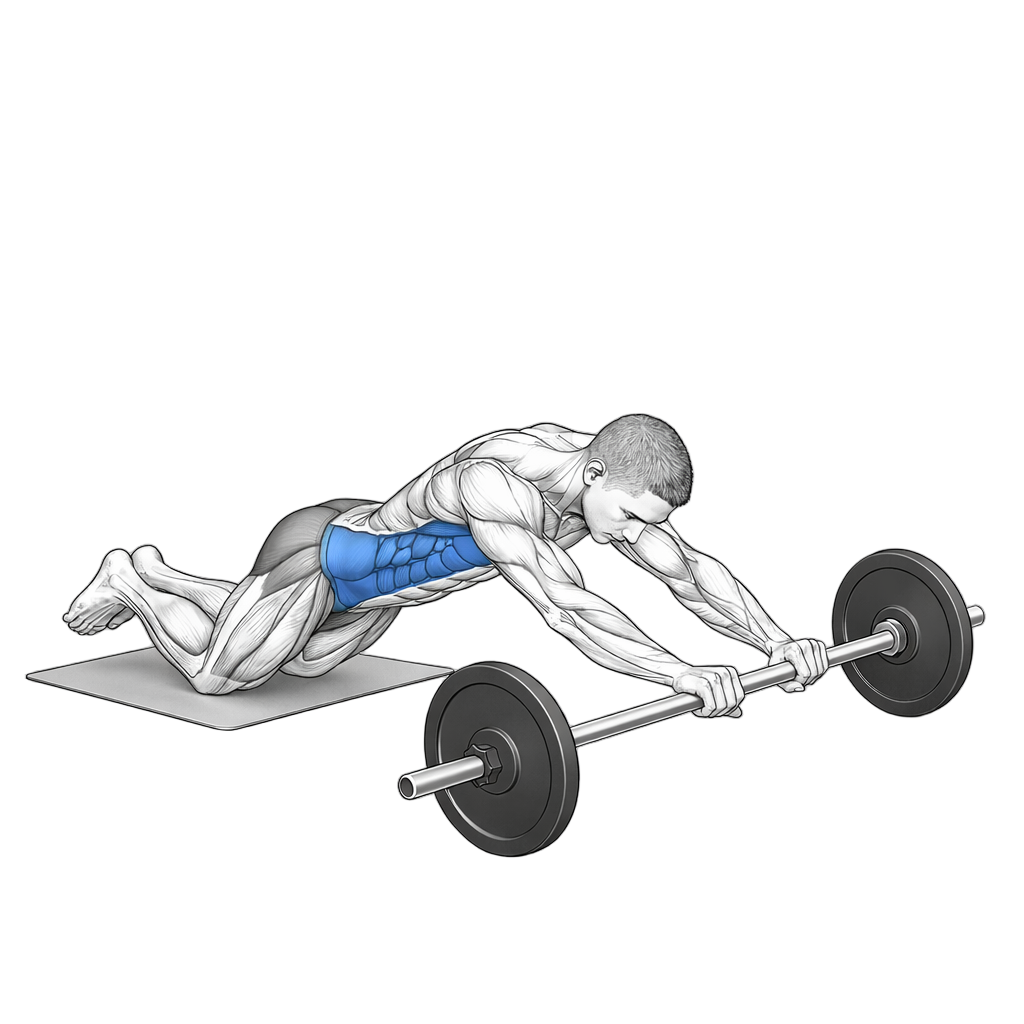 Barbell Ab Rollout