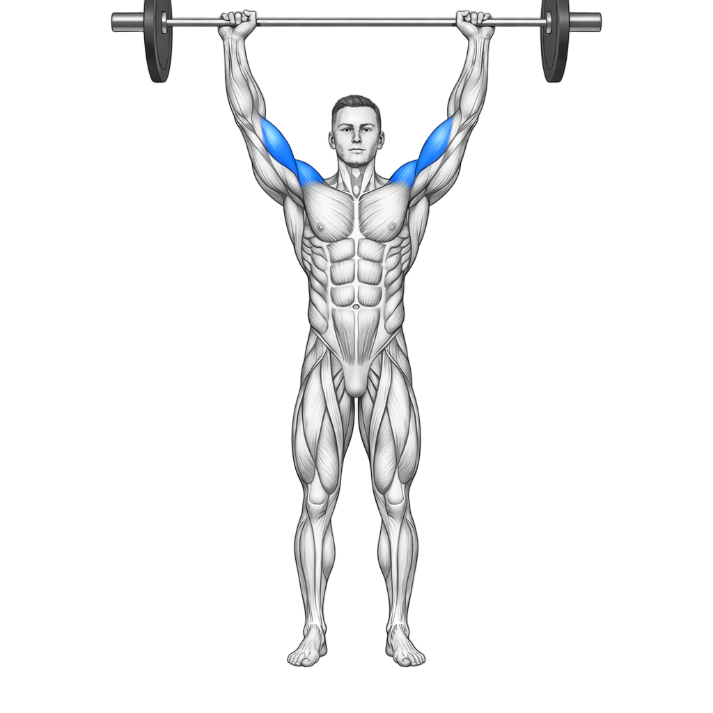 Barbell Shoulder Press