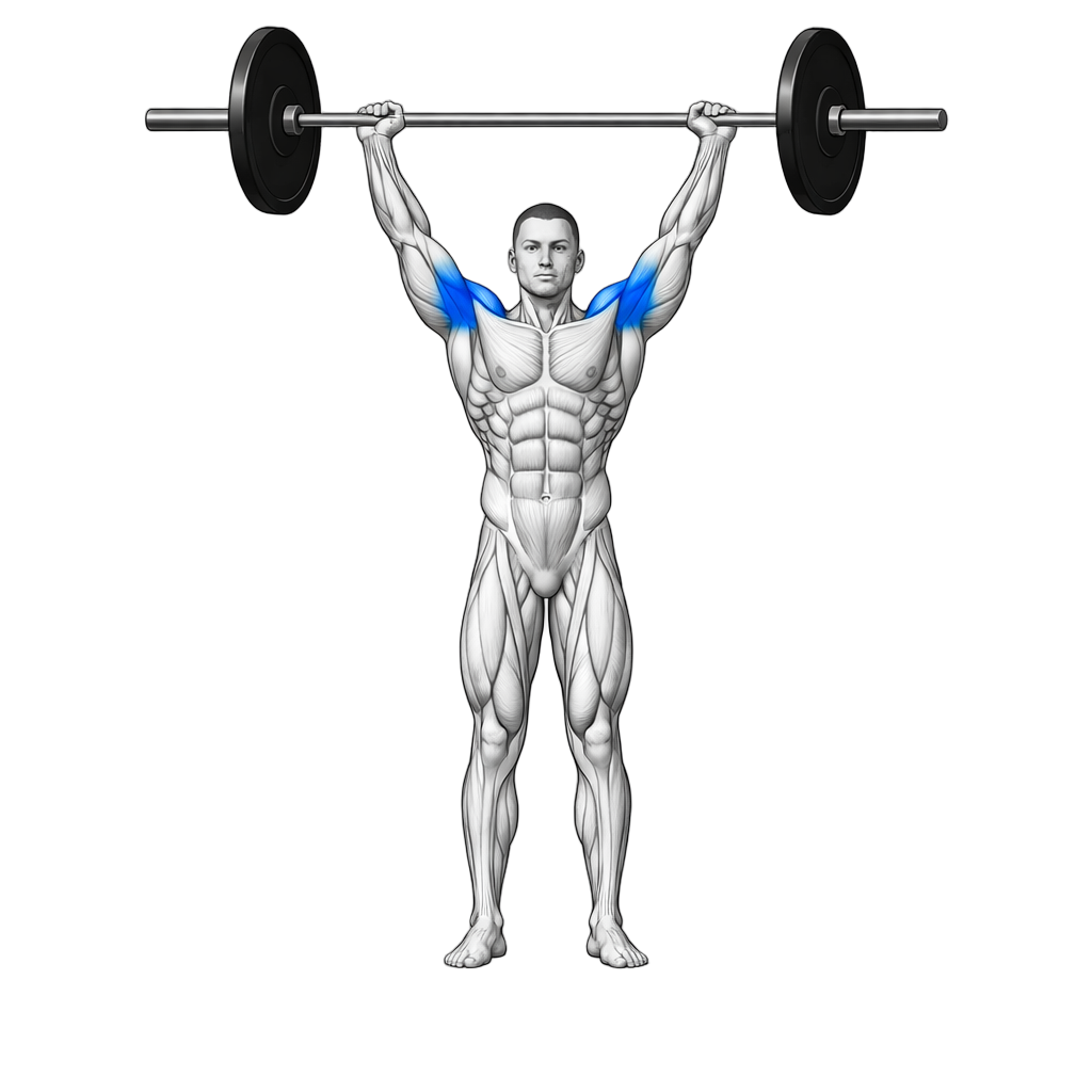 Behind the Neck Push Press