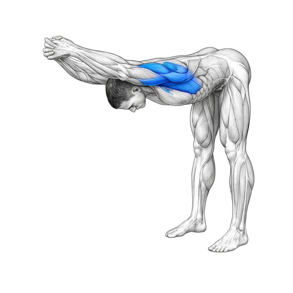 Bent Over Shoulder Stretch