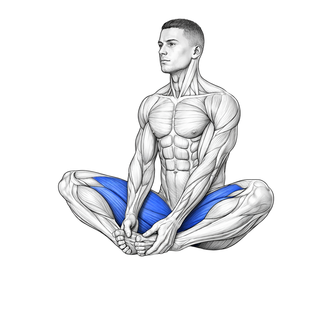Butterfly Stretch exercise demonstration