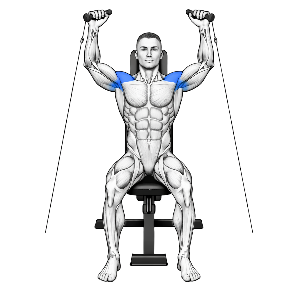 Cable Shoulder Press exercise demonstration