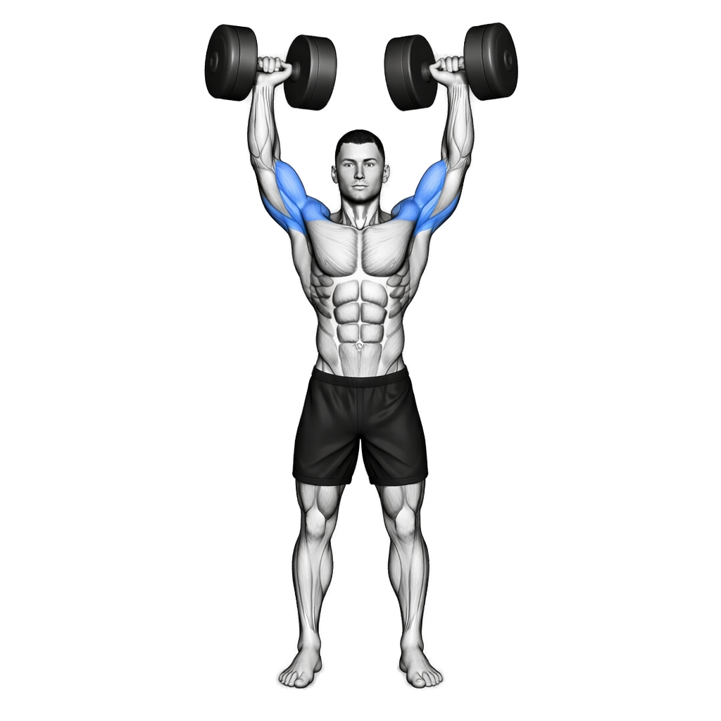 Circus Dumbbell Press