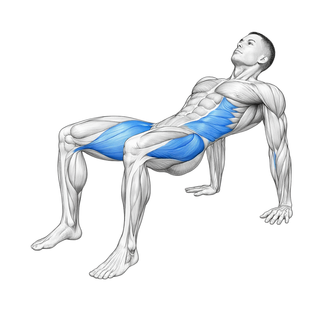 Crab Pose exercise demonstration