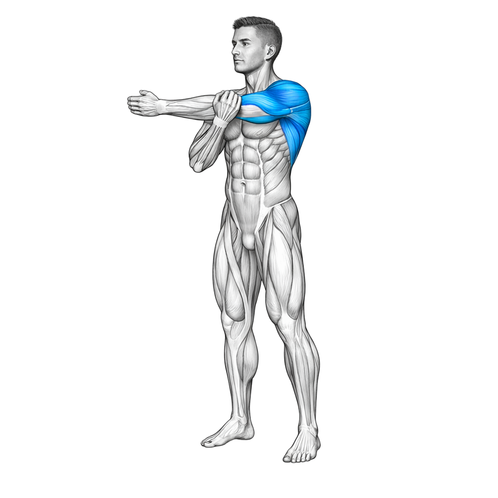 Cross-body Arm Stretch