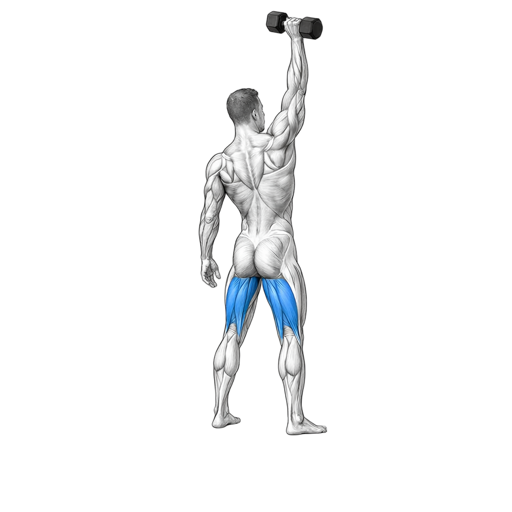 Dumbbell Hang Snatch