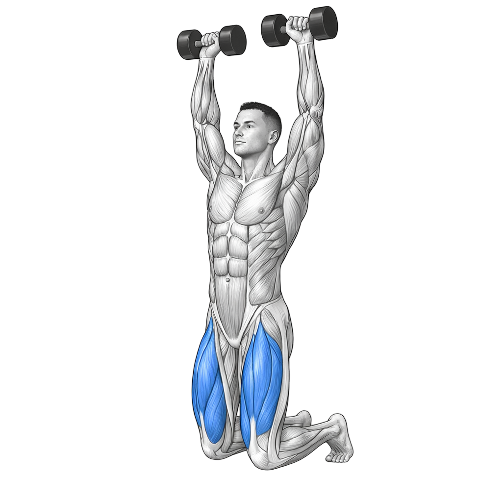 Dumbbell Overhead Kneel to Stand
