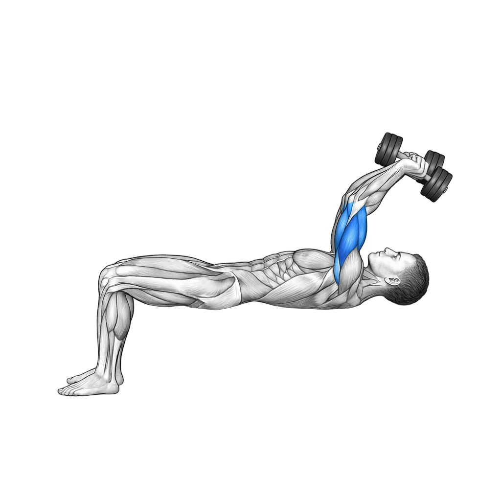 Dumbbell Skullcrusher exercise demonstration