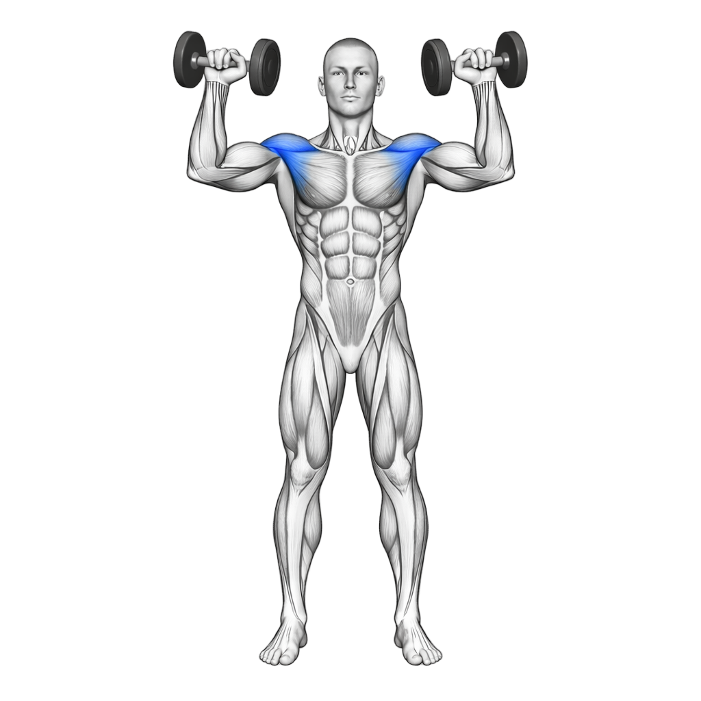 Dumbbell Standing Front Press