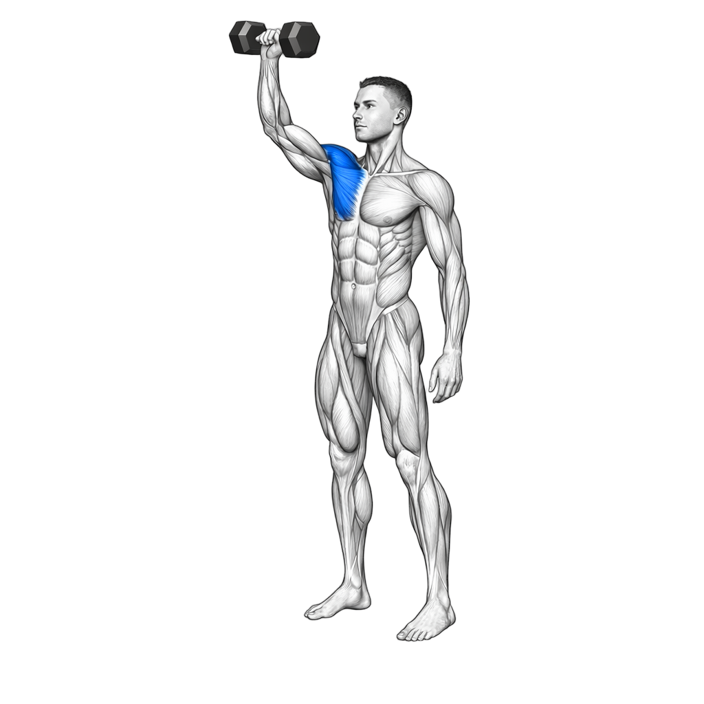 Dumbbell Standing Single-Arm Front Press