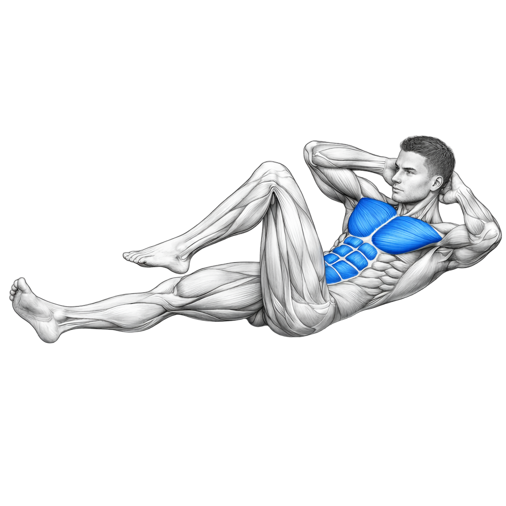 Elbow to Knee Crunch