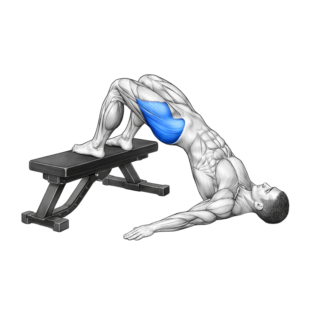 Elevated Hip Bridge