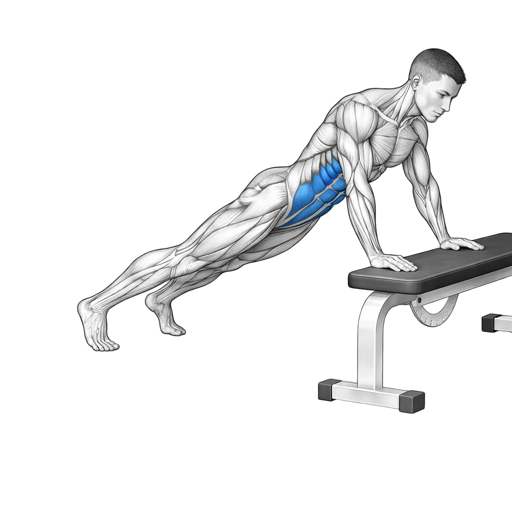 Elevated Plank exercise demonstration