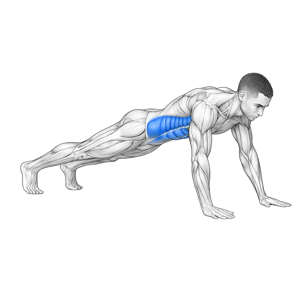Extended Plank exercise demonstration