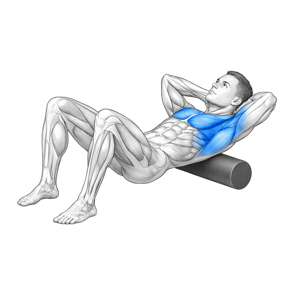 Foam Roll Upper Back exercise demonstration