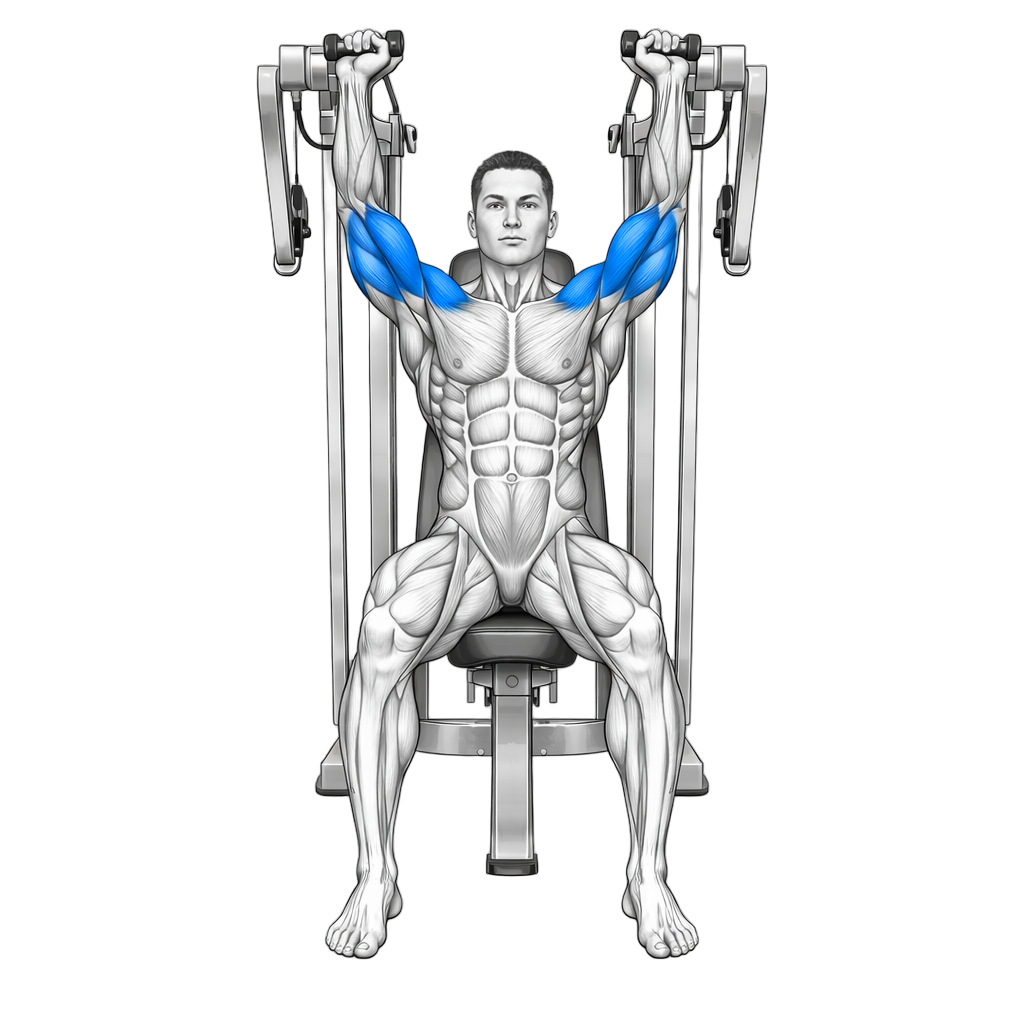 Freemotion Shoulder Press