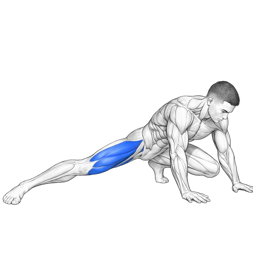Half Center Split