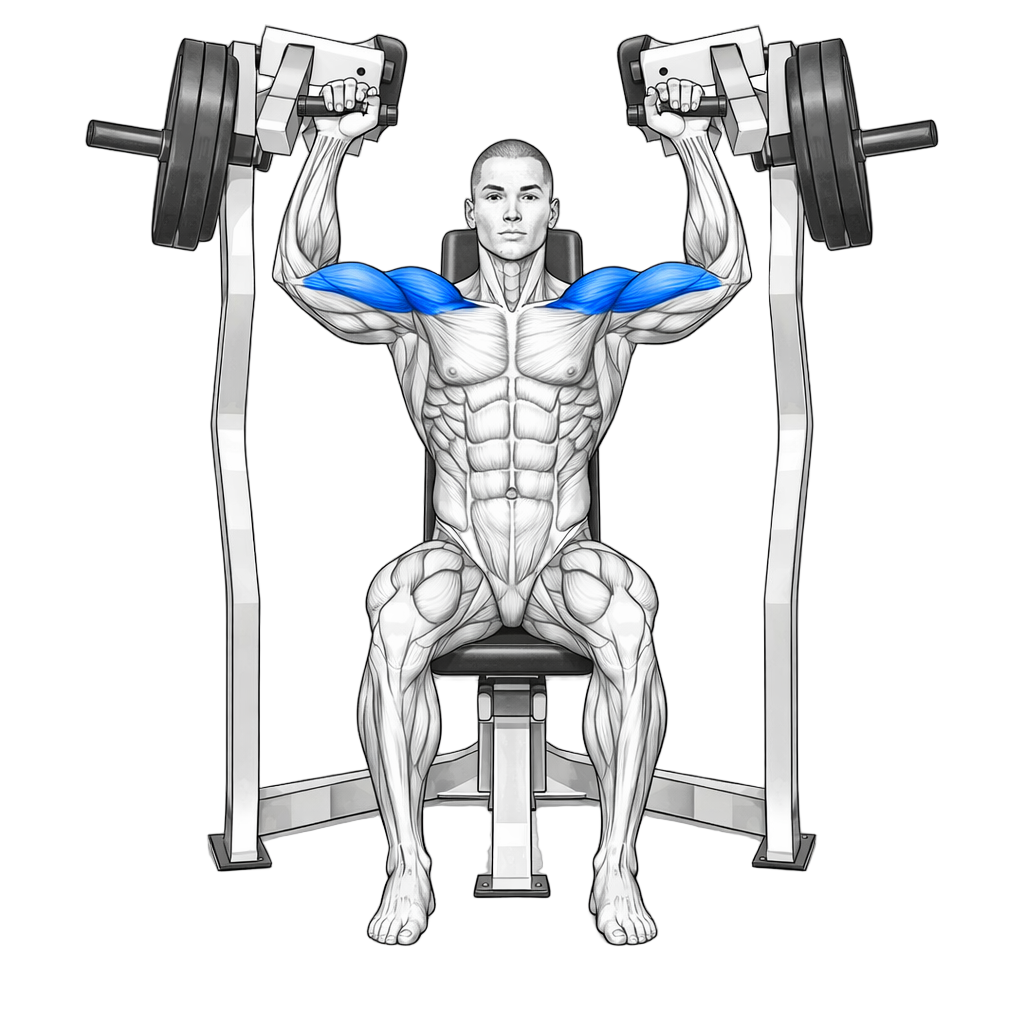 Hammerstrength Shoulder Press