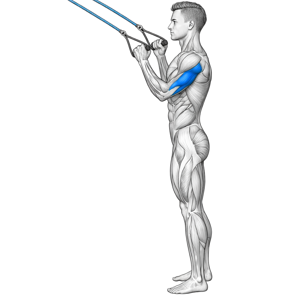 Handle Band Tricep Extension