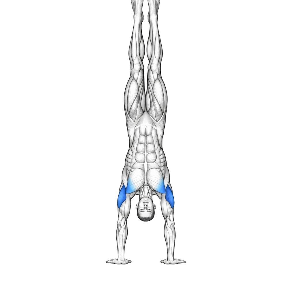 Handstand Walk
