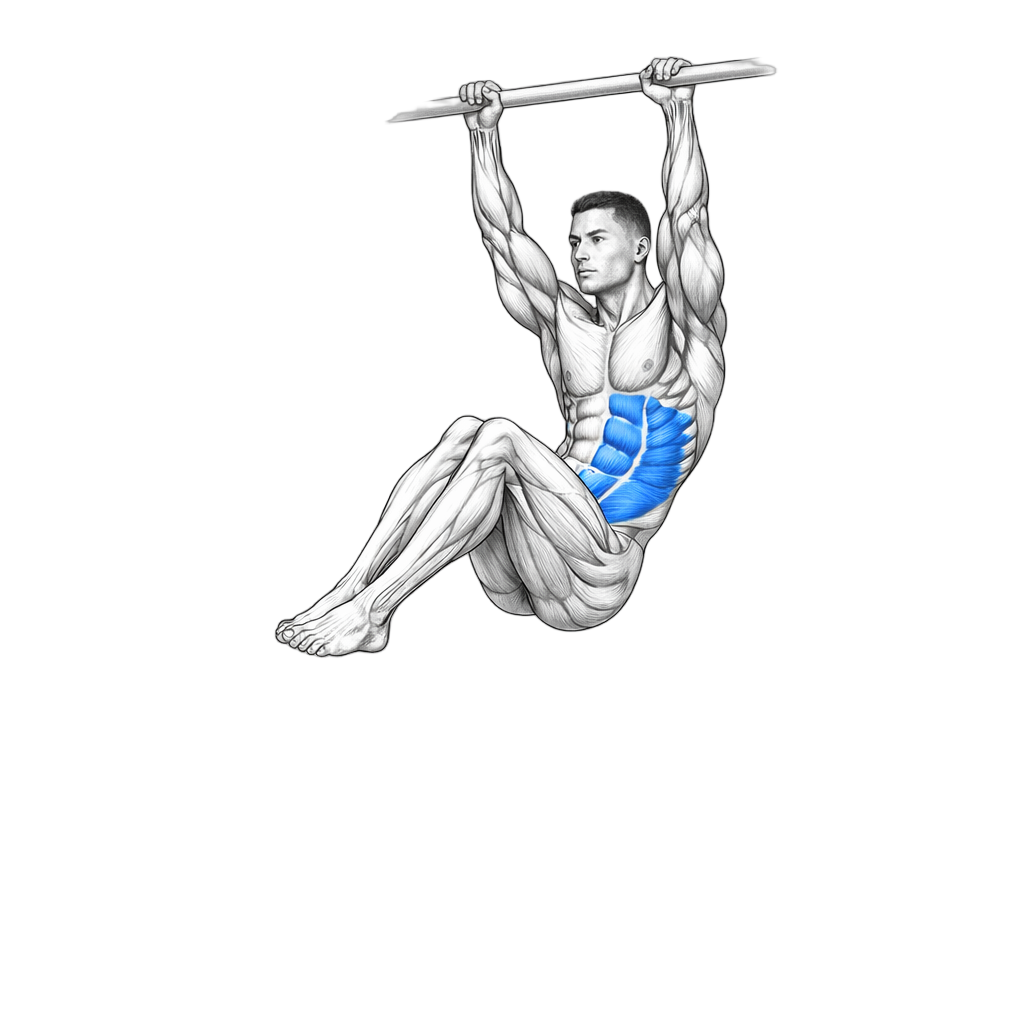 Hanging Oblique Knee Raise