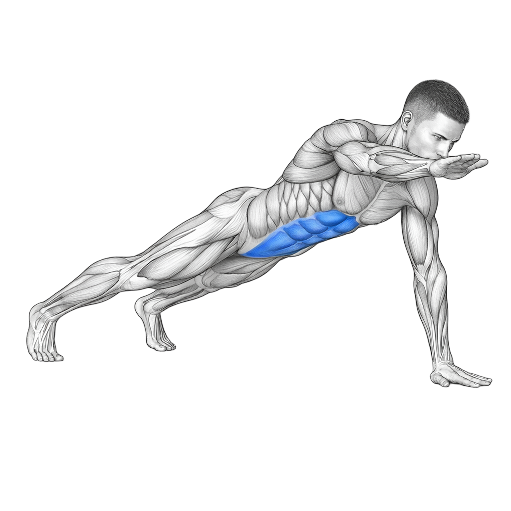 High Plank Arm Reach
