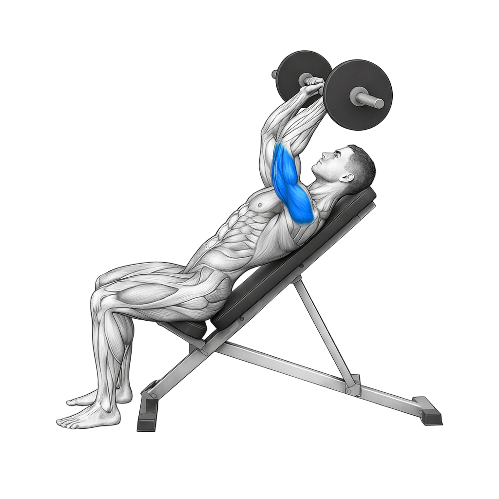 Incline Barbell Skull Crusher