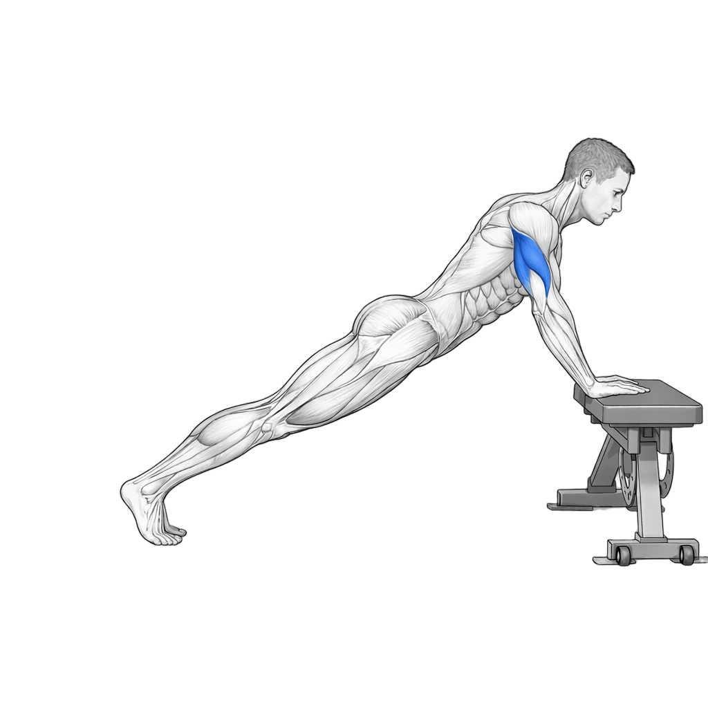 Incline Tricep Push Up