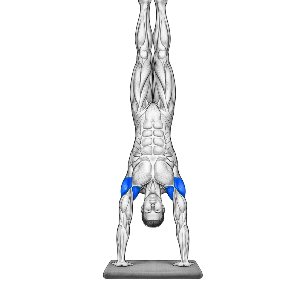 Kipping Handstand Push Up
