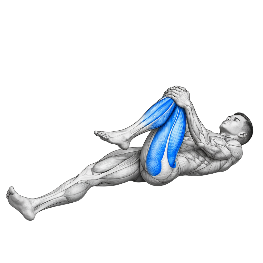 Knee to Chest Stretch