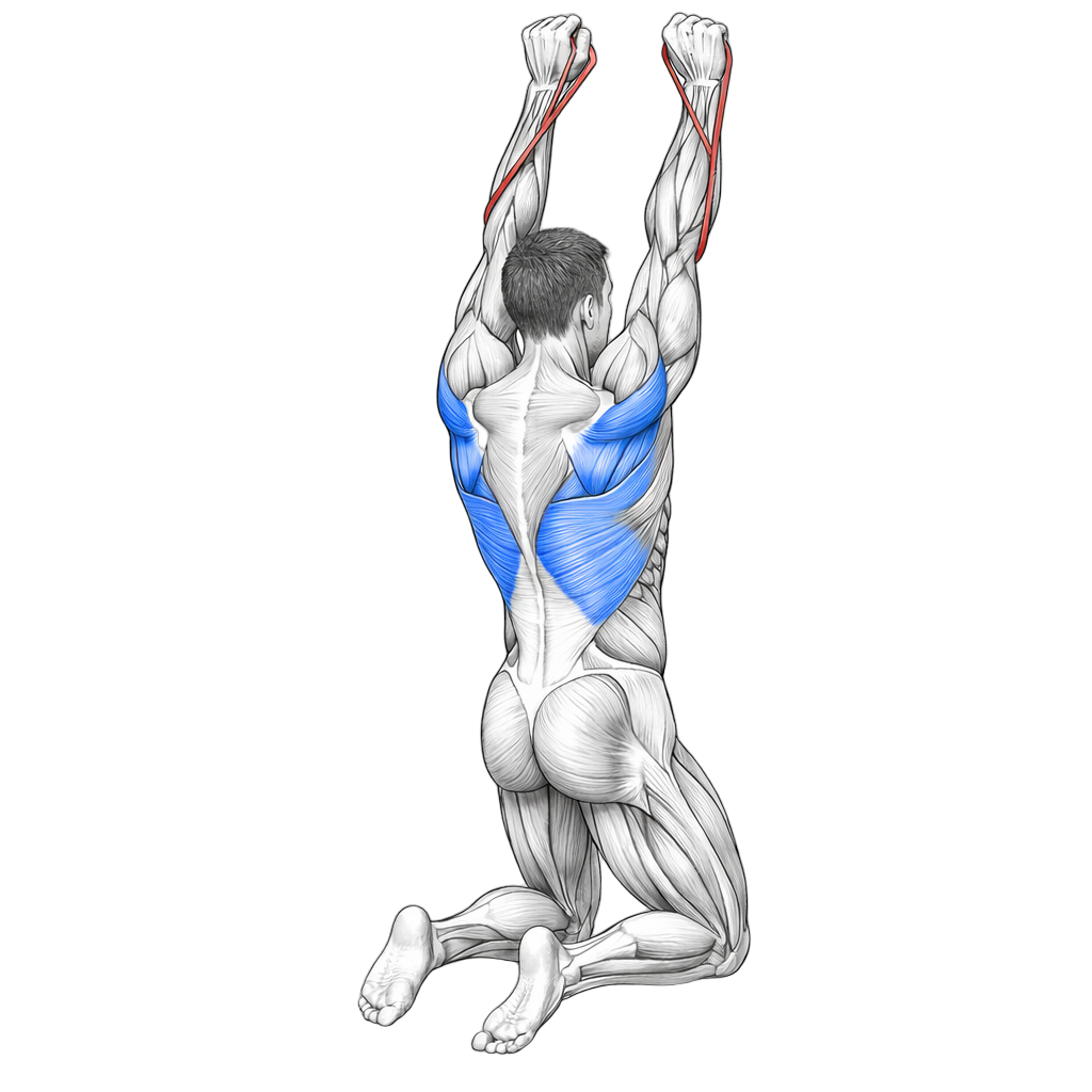 Loop Band Lat Pulldown