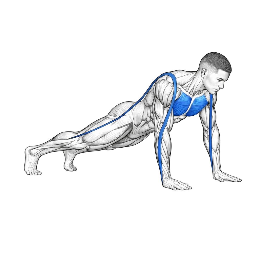 Loop Band Push Up