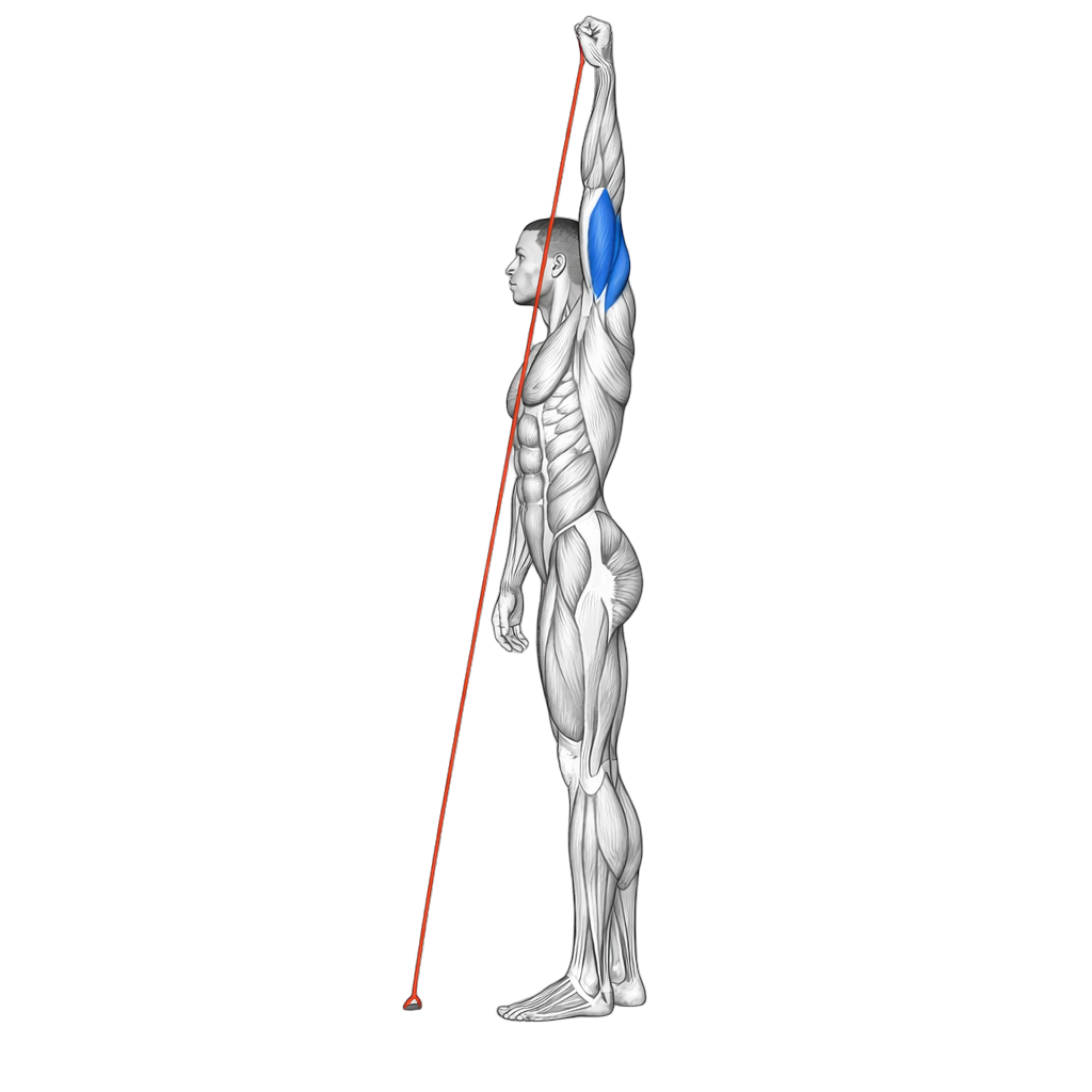 Loop Band Single-Arm Tricep Extension
