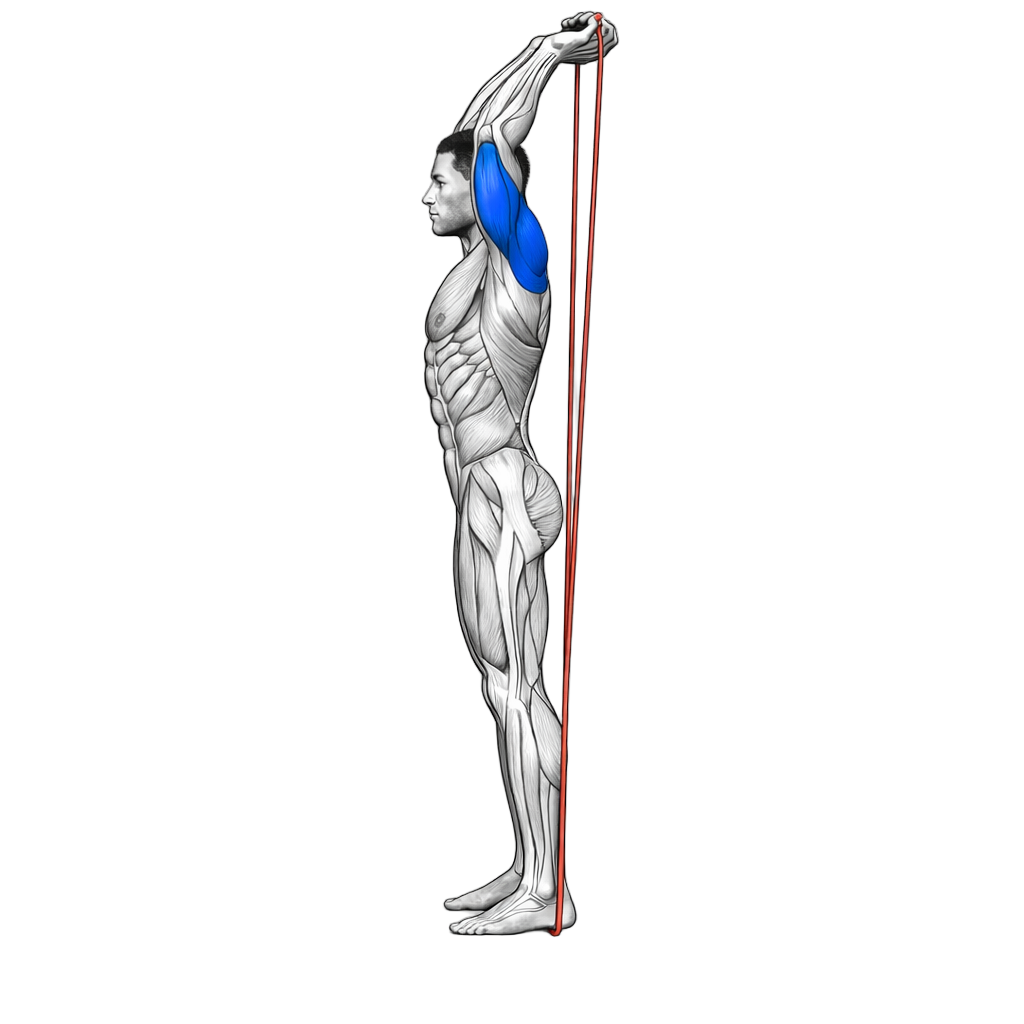 Loop Band Standing Tricep Extension
