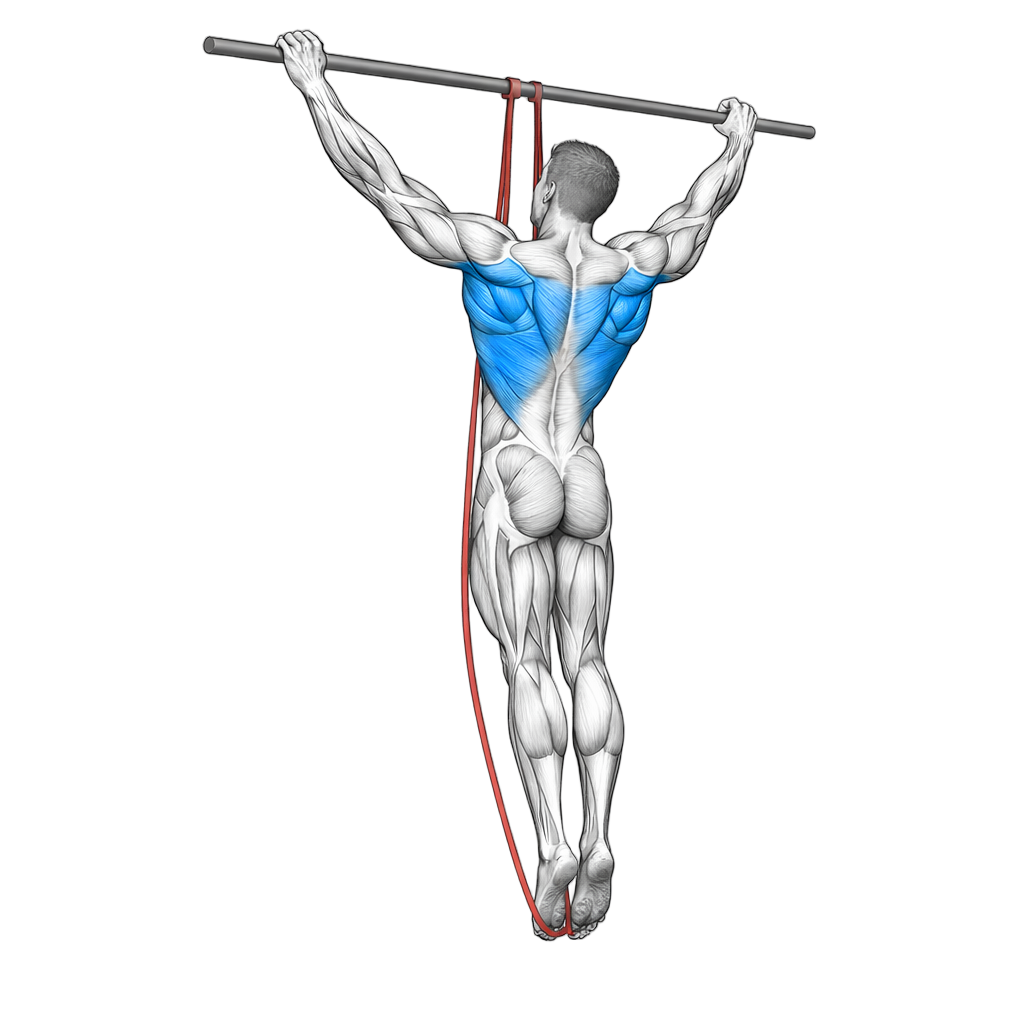 Loop Band Wide Grip Pull Up